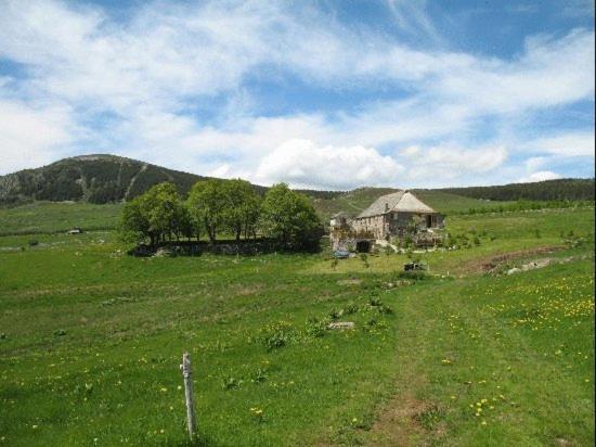 Le Francillon Bed & Breakfast Les Estables Dış mekan fotoğraf